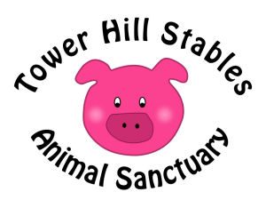 Tower Hill Logo