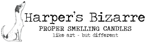 Website-Logo-300x88