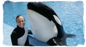 June Killington Close Down SeaWorld The AquaPrison