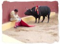 Matador Torero Alvaro Munera