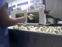 Through The Eyes Of Male Chicks