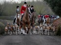 Fox hunting banned