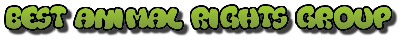 Best Animal Rights Group Best Animal Rights Group