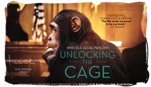 Unlocking the Cage
