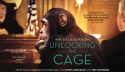 Unlocking the Cage
