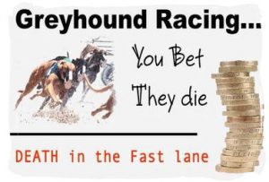 Ban greyhound racing