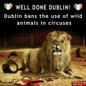 Dublin