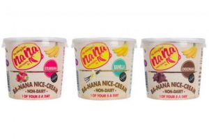 Iceland's Vegan Ice cream