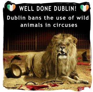 dublin ban circuses
