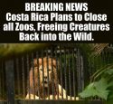 Costa Rica Zoo