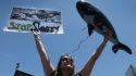 California Bans SeaWorld From Captive Orca Breeding