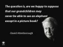 david attenborough takes first step