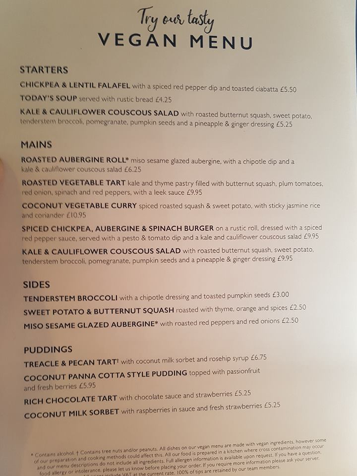 Snowy Owl Cramlington